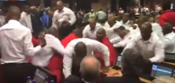 بالفيديو : عراك بالايدي في برلمان جنوب افريقيا بسبب خلاف على رئيس الدولة