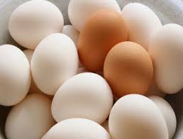 اسعار البيض تنخفض دون السقوف السعرية