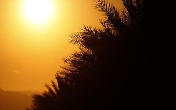 الحرارة اعلى من معدلها ..اليوم
