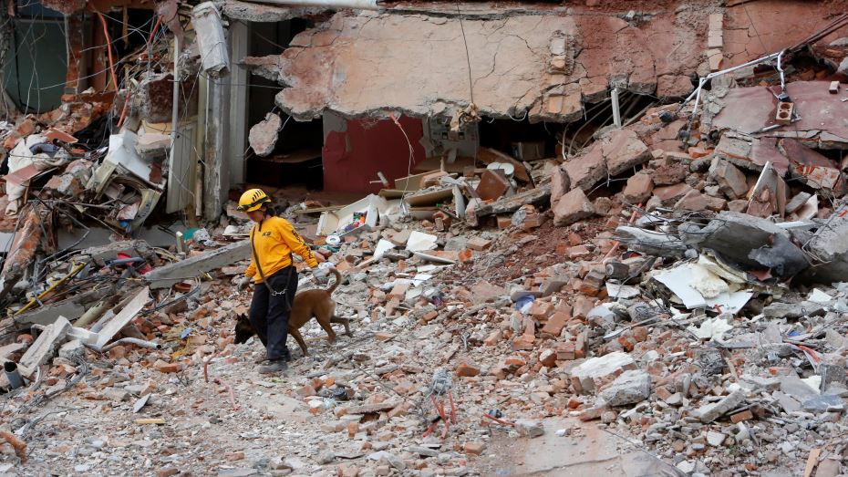 زلزال بقوة 6,1 درجات يضرب مدينة مكسيكو