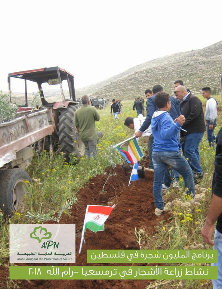 احياء ذكرى النكبة بزراعة الزيتون في ترمسعيا