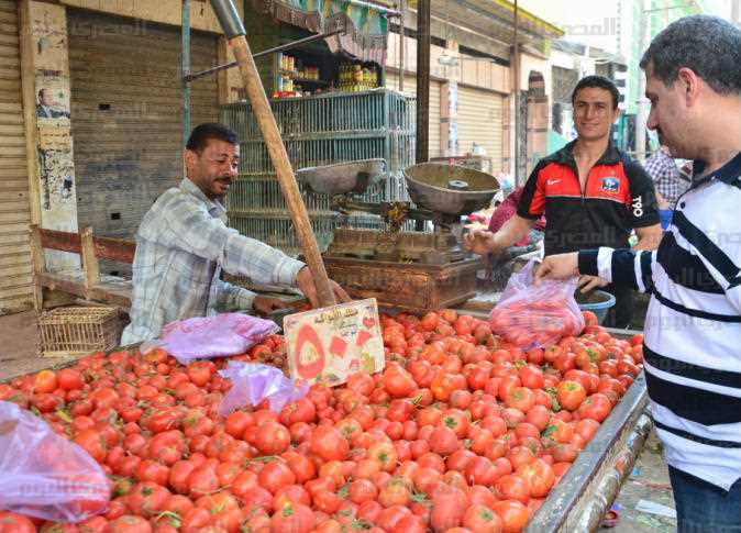 لأول مرة .. الطماطم الاردنية تُباع في الأسواق المصرية