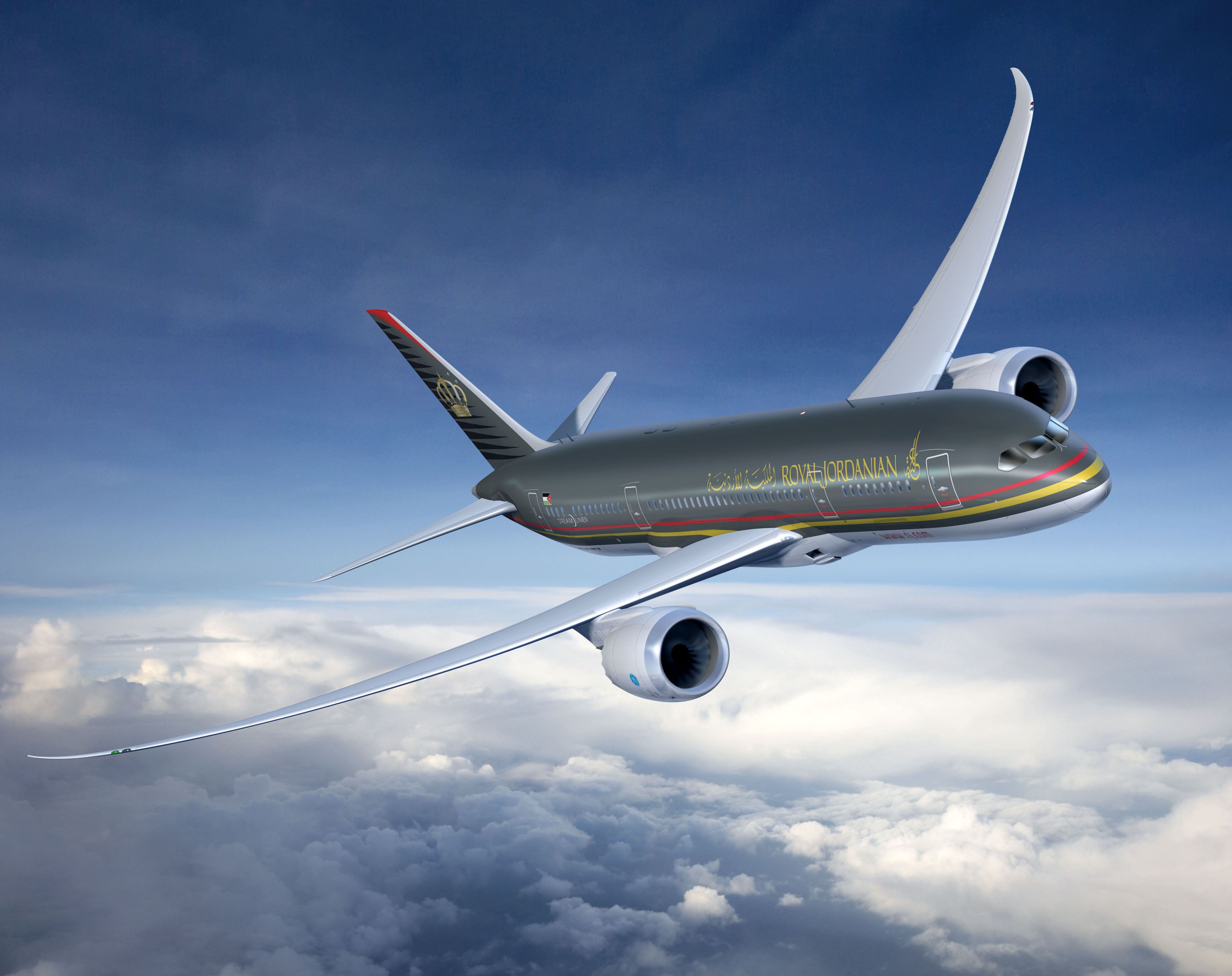 Royal Jordanian 787-8 Artwork
K64976-02