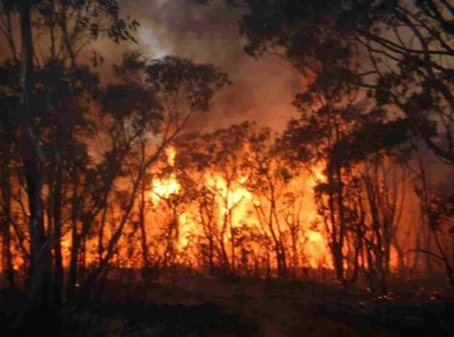 اخماد حريق أتى على 15 دونم اشجار سنديان