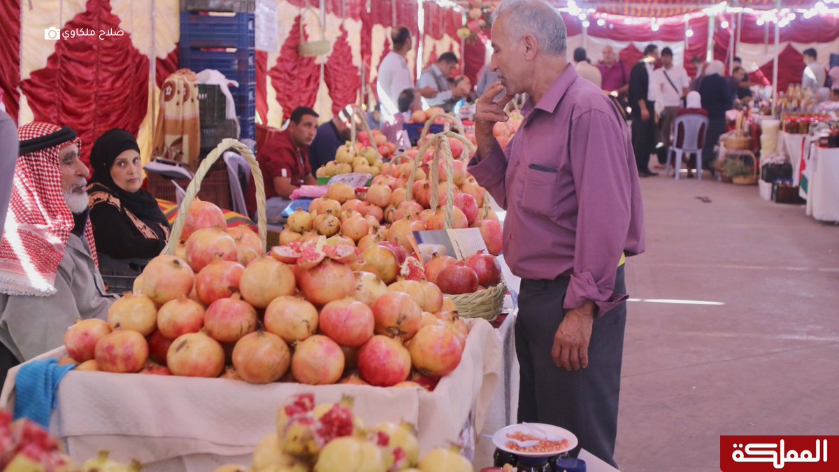 اربد : بدء مهرجان الرمان