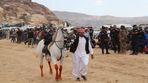 انطلاق فعاليات مهرجان البترا الاول للخيول في البترا .