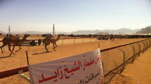 مهرجان الشيخ زايد لسباق الهجن الثاني عشر 2019 ينطلق يوم غدا الجمعة بوادي رم بالأردن