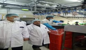الكرك : وزير العمل يزور الشركة الوطنية للدواجن