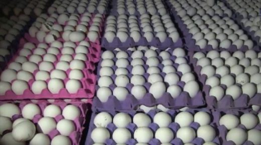 شركة اردنية تطلب تصريح لتصدير 3 ملايين بيضة الى اسرائيل ..وثيقة