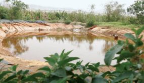 وفاة طفلين غرقا ببركة زراعية في بلدة رحمة