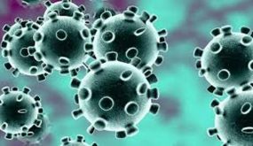 وفيات العالم بجائحة كورونا تقترب من ربع مليون وفاة