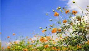 أجواء معتدلة في المرتفعات والسهول وحارة في باقي المناطق