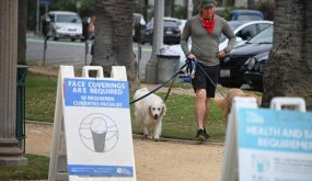 تسجيل 518 وفاة و55187 إصابة جديدة بكورونا في الولايات المتحدة