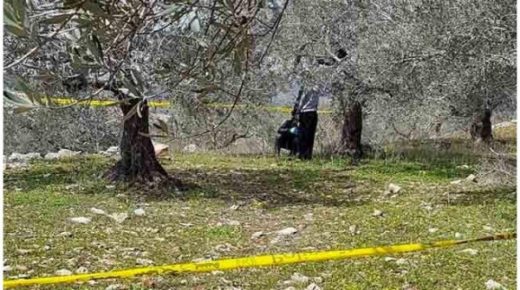 العثور على جثة معلقة على شجرة في احراش بلدة دمنة شمال الكرك