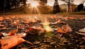 أجواء خريفية بالمرتفعات وحارة نسبيا في باقي مناطق المملكة