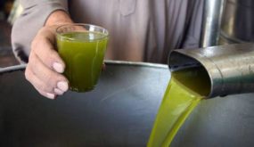 من يُنقذ انتاجنا الوطني من زيت الزيتون ؟