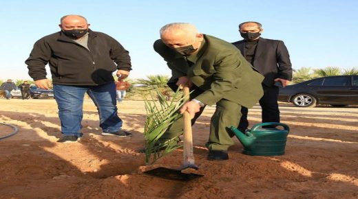 العيسوي يتفقد مشاريع زراعية في الكرك والبلقاء والمفرق