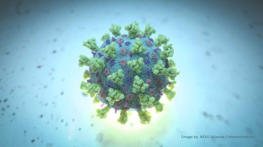 A computer image created by Nexu Science Communication together with Trinity College in Dublin, shows a model structurally representative of a betacoronavirus which is the type of virus linked to COVID-19, better known as the coronavirus linked to the Wuhan outbreak, shared with Reuters on February 18, 2020. NEXU Science Communication/via REUTERS THIS IMAGE HAS BEEN SUPPLIED BY A THIRD PARTY. MANDATORY CREDIT.