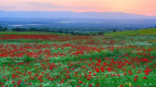 أجواء دافئة في أغلب مناطق المملكة اليوم وربيعية غدًا