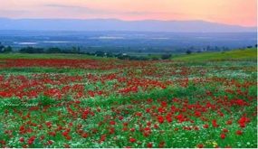 Image processed by CodeCarvings Piczard ### FREE Community Edition ### on 2020-04-04 05:59:41Z | | ÿ ;ÿ ;ÿ£;ÿÕ	¥