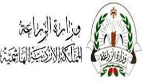 زراعة الكرك تبدأ التنسيق مع فرق الاستكشاف للقضاء على الجراد