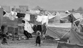 73 عاما على النكبة الفلسطينية