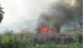 مشاركون في مسيرة نصرة فلسطين يعتدون على مزارع خاصة ..فيديوهات