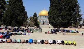 حوالي 40 ألف مصل يؤدون صلاة الجمعة في المسجد الأقصى المبارك