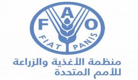 فاو تتوقع ارتفاع كلفة واردات الغذاء العالمية 12% في 2021