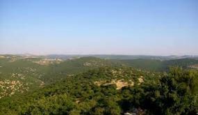 سياحة اليرموك تنشئ مسارا بيئيا بمنطقة أحراج برقش