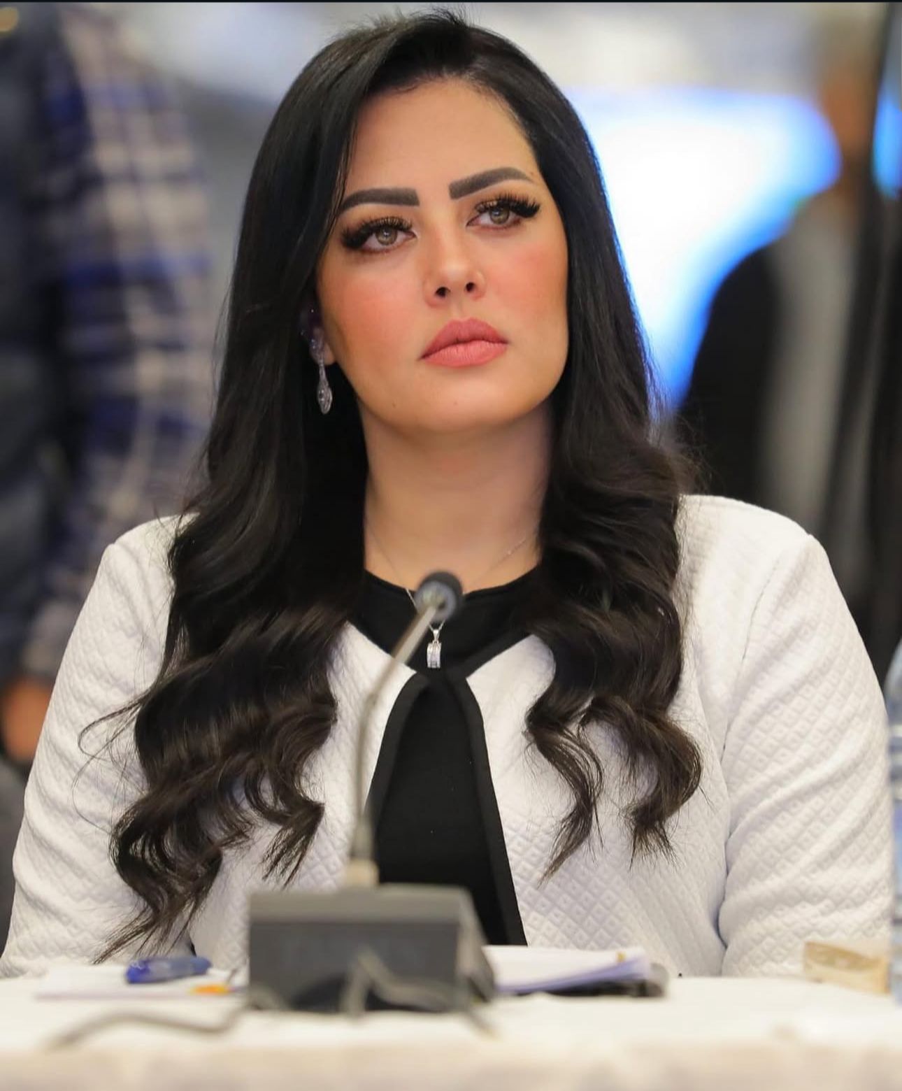 رهام العيسوي: في يوم الكرامة نستذكر عزم جيشنا في إعادة هيبة العرب ..