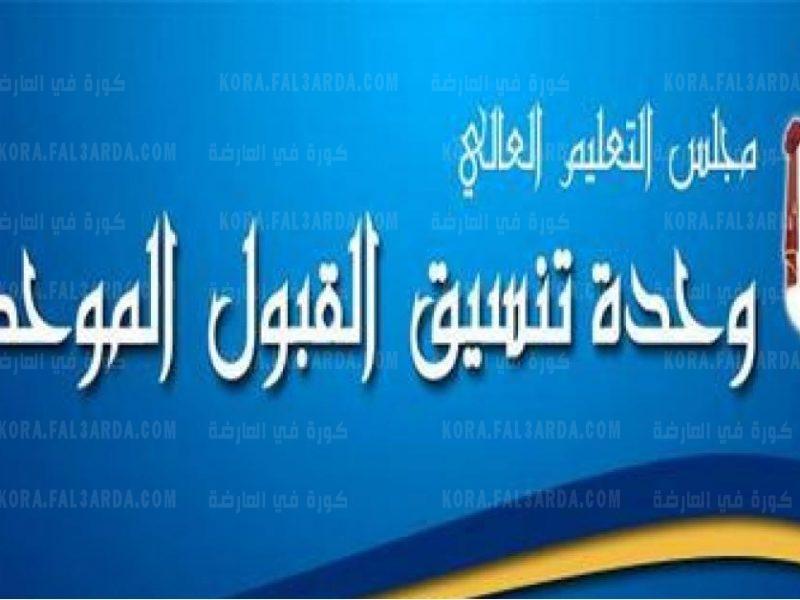 التعليم العالي تحدد الاثنين المقبل موعدا نهائيا لتثبيت مقعدي الطب