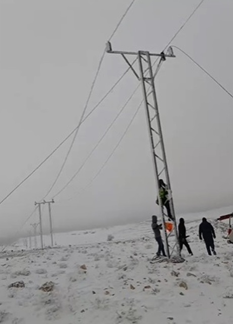 بالفيديو .. كوادر توزيع الكهرباء تقوم بإصلاح اعطال جنوب محافظة الطفيلة