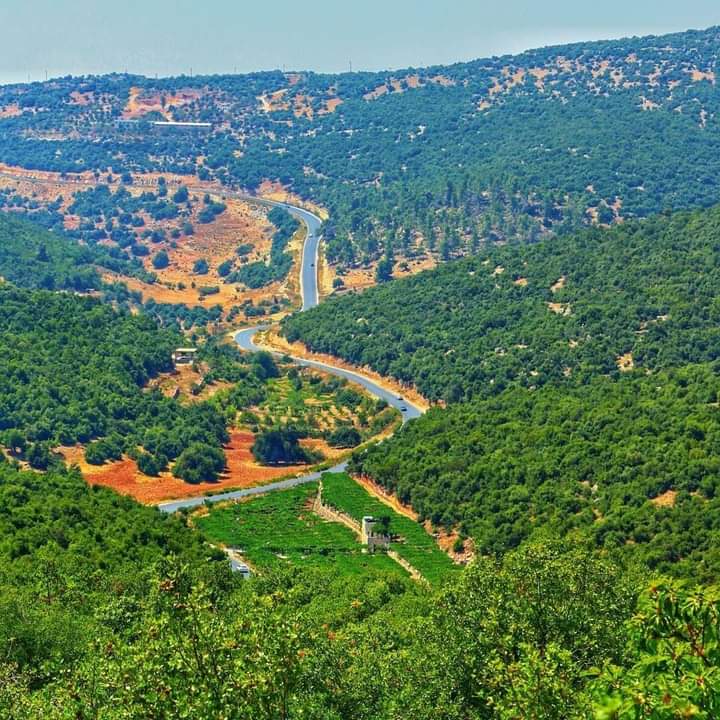 أجواء باردة في أغلب المناطق ولطيفة في الأغوار والبحر الميت حتى الأحد