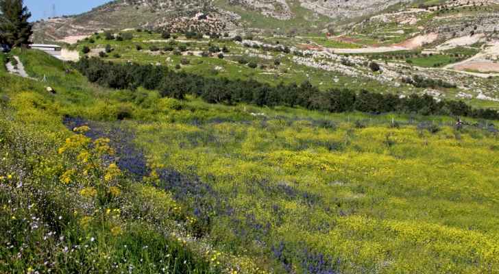 اجواء دافئة في المرتفعات والسهول وحارة في باقي المناطق