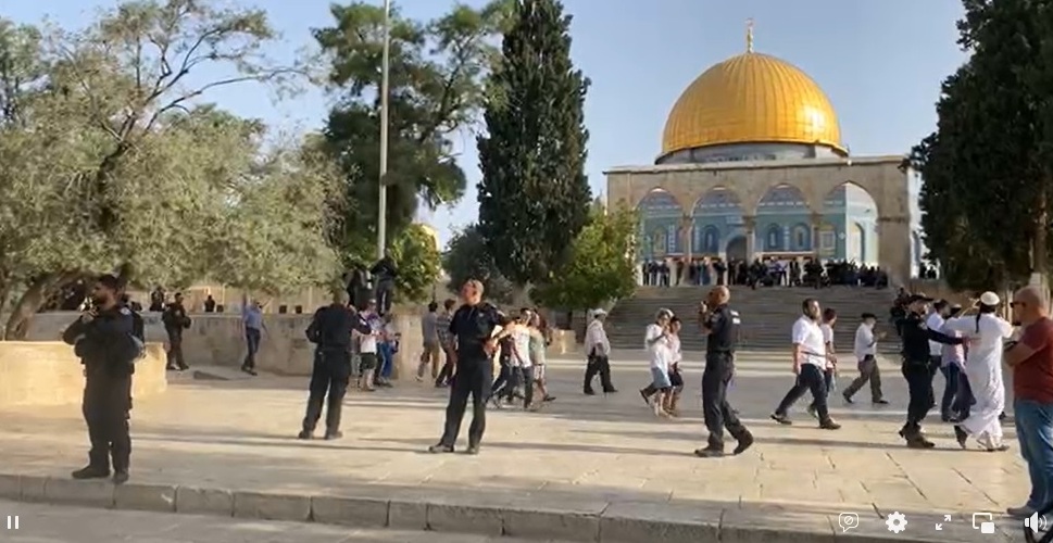 بث مباشر … المستوطنون يقتـحمون المسجد الأقصى