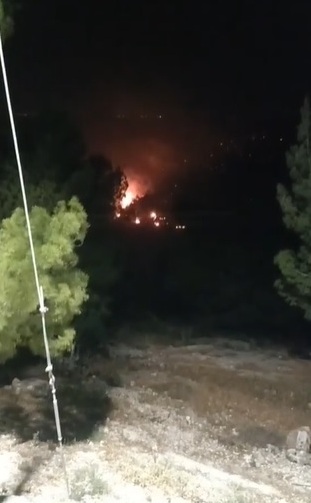 أم قيس : حريق ضخم يلتهم مساحات واسعة من اليرموك .. فيديو