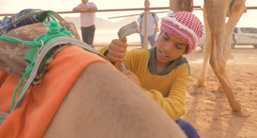 بالفيديو والصور …بطولة الهجانة لسباق الأطفال في وادي رم