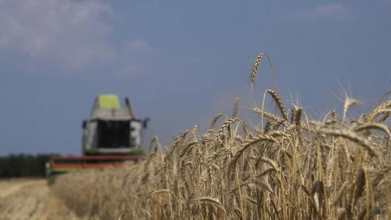 روسيا تتوقع تصدير 37 مليون طن من الحبوب هذا العام و50 مليونا العام المقبل
