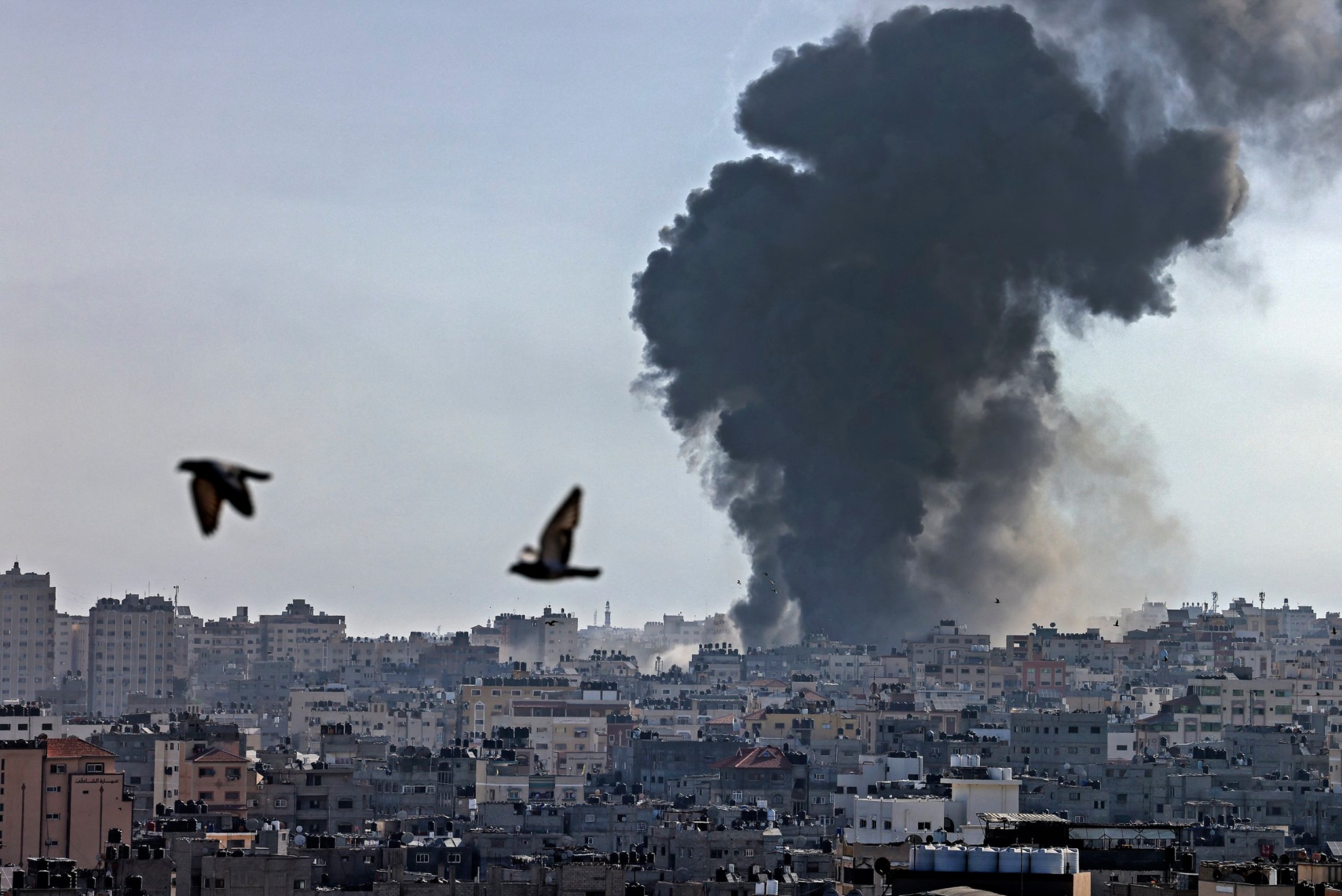 وفا : ارتفاع حصيلة شهداء عدوان غزة إلى 11 شهيدا و 80 اصابة