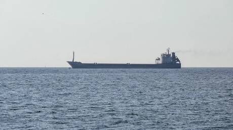 وسائل إعلام: سفينة “بولارنت” المحملة بذرة أوكرانية تمر عبر مضيق البوسفور