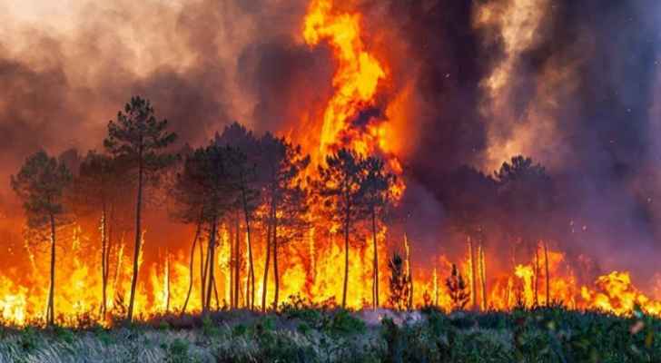 الحرائق تدمر ١٠٠٠ هكتار من الأراضي في فرنسا
