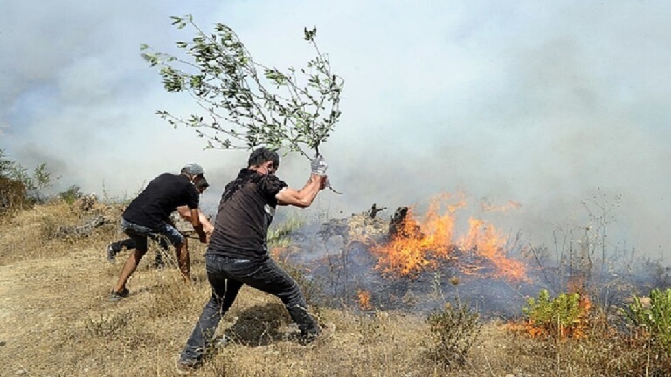 الجزائر: حرائق الغابات مفتعلة
