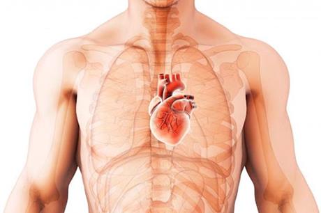 طبيبة روسية: ثلاث علامات غير واضحة لاحتشاء عضلة القلب