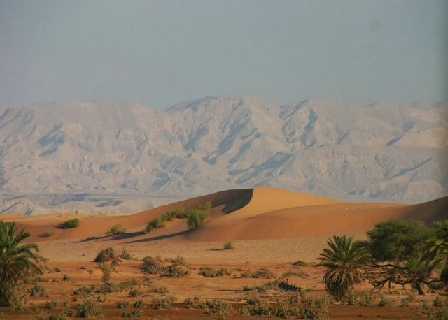 توجه حكومي لإقامة منطقة تنموية في وادي عربة