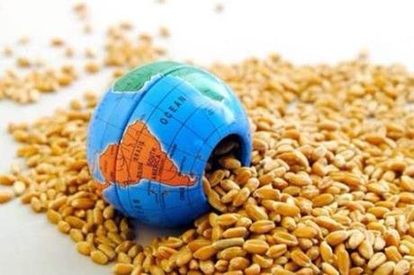 الأمم المتحدة: نواجه أزمة غذاء عالمية غير مسبوقة