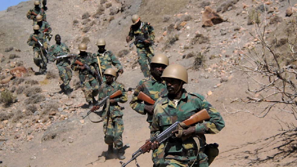 جيبوتي تعلن مقتل 7 من جنودها بهجوم شنّه متمردون
