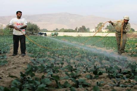 سلطة وادي الأردن توقع اتفاقيات تأجير أراض لإقامة مشاريع زراعية استثمارية