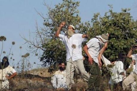 مستوطنون يهاجمون مركبات الفلسطينيين في الأغوار الشمالية الفلسطينية